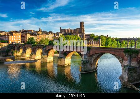 Albi. Ponte vecchio (le pont vieux) e cattedrale di Santa Cecilia, fiume Tarn, dipartimento Tarn, Occitania, Francia, Europa Foto Stock