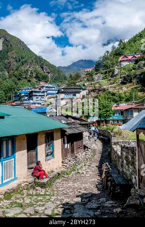 Nepal. Trekking di picco dell'isola. Scena di strada colorata presso l'insediamento di Sherpa di Jorsalle durante il tragitto verso la città commerciale di Namche Bazaar Foto Stock