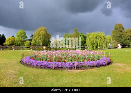 I Kew Gardens sono in grado di riaprire dal 3 giugno 2020, Giardini botanici reali il mondo delle piante e dei funghi aperti durante le bande orarie pandemiche del virus corona deve essere prenotato online in quanto i visitatori devono essere monitorati con intervalli di tempo di ingresso preprenotati stabiliti per la prima volta nella storia. Per motivi di sicurezza tutti gli edifici e le strutture rimarranno chiusi , Tra cui le serre, ristoranti e gallerie e il treno Kew. Alcune opzioni di cibo all'aperto e servizi igienici rimarranno aperti ... Foto Stock