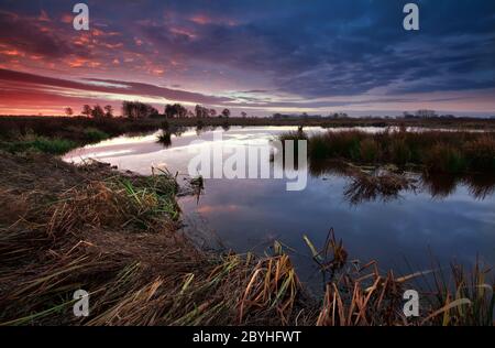 Drammatica alba su palude in Olanda Foto Stock