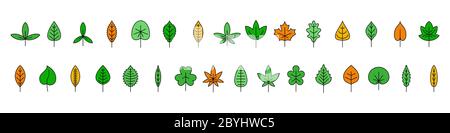 Set di lamelle. Foglie colorate isolate. Illustrazione vettoriale. Grande collezione di foglie carine su sfondo bianco. Illustrazione Vettoriale