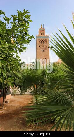 La moschea di Koutoubia di Marrakech Foto Stock