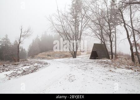 Capanna di legno in montagna Harz durante inverno foggy d Foto Stock