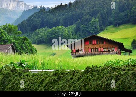 Altdorf, Svizzera - 14 giugno 2017: Splendida vista su un paesaggio montano idilliaco nelle Alpi con chalet tradizionali e fattoria in verdi prati alpini Foto Stock