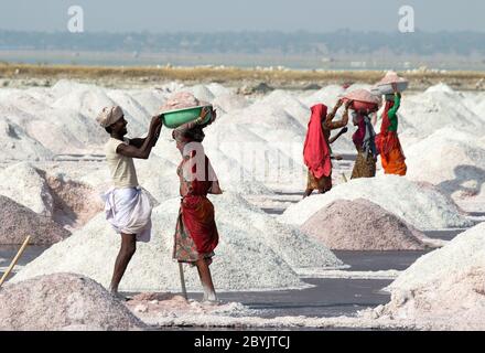 Miniere di sale sul lago Sambhar in India Foto Stock