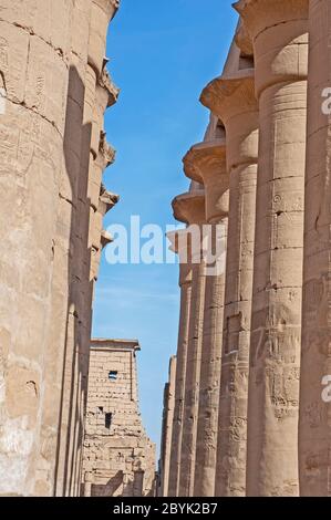 Sculture geroglipiche su colonne presso l'antico tempio egiziano Luxor Foto Stock