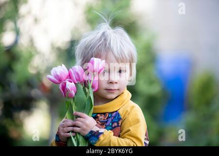 Bambino, ragazzo che tiene tulipani rosa , nascondendosi dietro di loro, concetto di regalo giorno delle madri Foto Stock