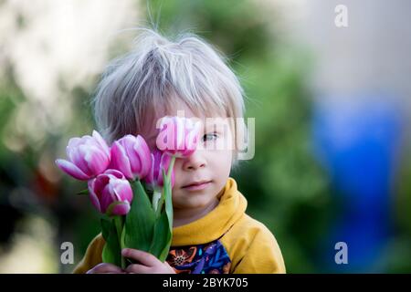 Bambino, ragazzo che tiene tulipani rosa , nascondendosi dietro di loro, concetto di regalo giorno delle madri Foto Stock