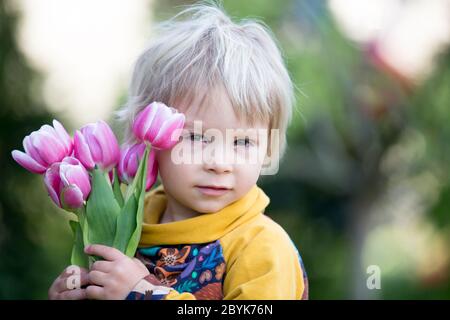 Bambino, ragazzo che tiene tulipani rosa , nascondendosi dietro di loro, concetto di regalo giorno delle madri Foto Stock