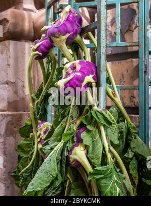 Kohlrabi viola in vendita a Malta Foto Stock