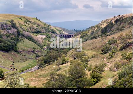 Una vista del viadotto ferroviario e riserva naturale di Smardale Gill, in disuso, vicino a Kirkby Stephen, Cumbria, Regno Unito Foto Stock