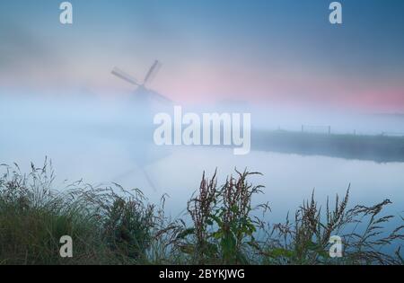 sagoma a vento in densa nebbia alba Foto Stock