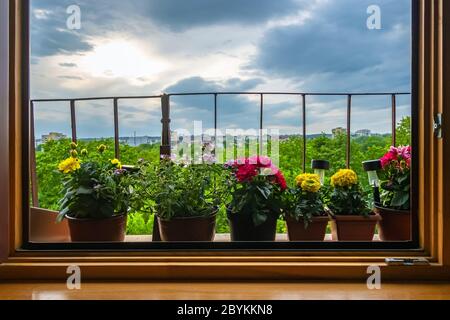 Vasi di fiori colorati fuori dalla finestra sul balcone con sfondo cielo nuvoloso. Fiori estivi sul davanzale. Piante in crescita in città Foto Stock