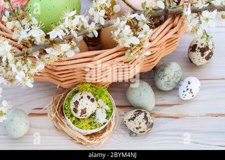 Cestino con uova di Pasqua e ramo di fiori di ciliegio. Arredamento festivo Foto Stock