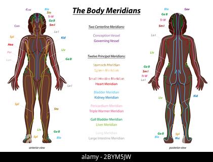 SCHEMA DEL SISTEMA MERIDIAN, donna nera, corpo femminile con meridiani etichettati - vista anteriore e posteriore - Medicina tradizionale cinese. Foto Stock