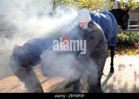 01.11.2019, Muenchehofe, Brandeburgo, Germania - il furier brucia un ferro di cavallo caldo sullo zoccolo di un cavallo. 00S191101D676CAROEX.JPG [VERSIONE DEL MODELLO: NO, PROPRIETÀ Foto Stock