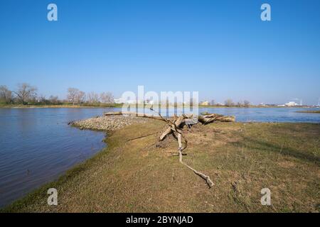 Il fiume Elba vicino a Magdeburgo. Sullo sfondo l'area industriale Rothensee Foto Stock