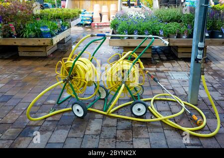 Due avvolgitubo da giardino con tubo resistente al kink giallo su bobine portatili e con ugelli a spruzzo pratica distribuzione in un centro giardino Foto Stock