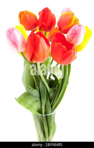 Mazzo di tulipani Foto Stock