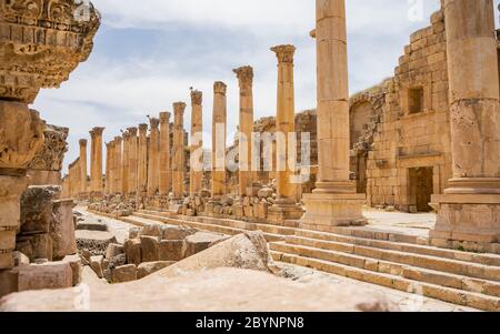 Jerash is the site of the ruins of the Greco-Roman city of Gerasa outside Amman, the capital of Jordan Foto Stock