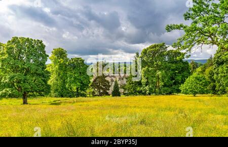 LEITH HALL GARDENS KENNETHMONT ABERDEENSHIRE SCOTLAND CASA DI CAMPAGNA FORTIFICATA CIRCONDATA DA ALBERI E CAMPO DI COPPE GIALLE IN ESTATE Foto Stock