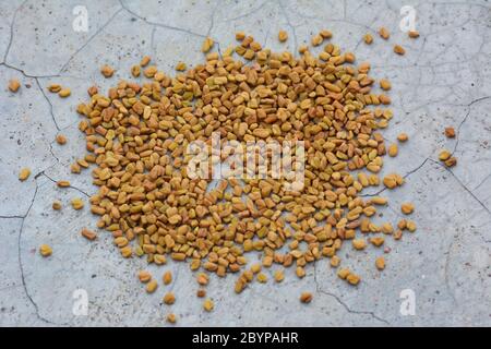 Semi di fenugreek su fondo di struttura di calcestruzzo fessurato Foto Stock