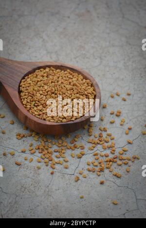 Semi di fenugreek in cucchiaio di legno su fondo di struttura di calcestruzzo fessurato Foto Stock