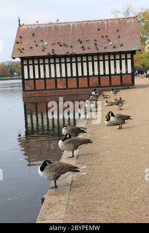 Hyde Park a Londra, Inghilterra Foto Stock