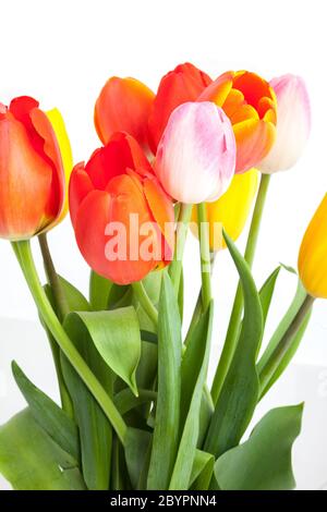 Mazzo di tulipani Foto Stock
