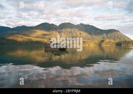 Una motoscafo di 40 piedi ancorata in una tranquilla insenatura dell'oceano pacifico nella Great Bear Rainforest, costa centrale, vicino a Bella Coola, British Columbia, Canada. Foto Stock