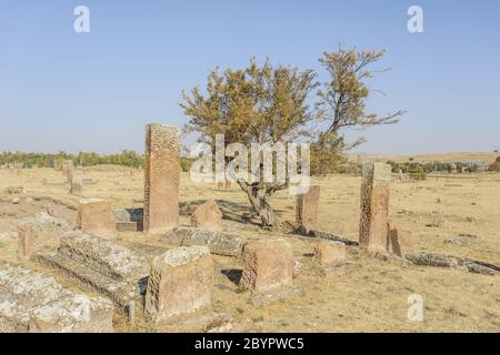 Lapidi di selgiuchi in turchia Ahlat Foto Stock