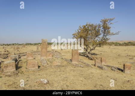 Lapidi di selgiuchi in turchia Ahlat Foto Stock