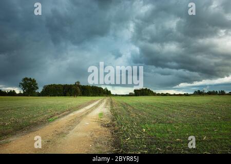 Strada sabbiosa e campi seminati, nuvole scure piovose in una giornata estiva Foto Stock