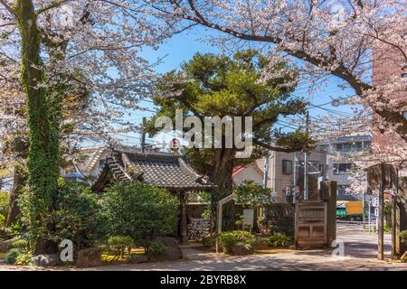 tokyo, giappone - marzo 31 2020: Portale d'ingresso del tempio di Gokokuin dedicato a uno dei sette fortunati dei Daikokuten divinità della ricchezza trascurata dal som Foto Stock