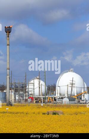 Impianto a gas, Des Allemands, Louisiana, USA Foto Stock