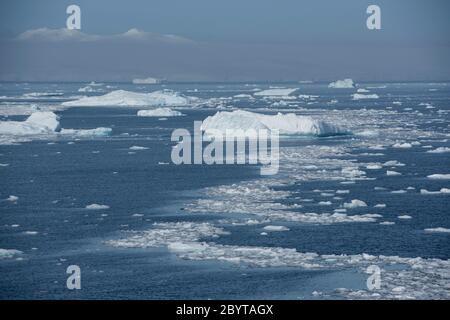 Iceberg nella baia di Hope, il suono antartico, la penisola antartica, l'Antartide. Foto Stock