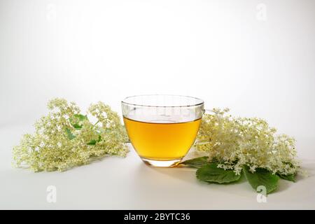 Tè dal fiore di Elderberry in una tazza di vetro e alcuni fiori freschi su uno sfondo grigio chiaro, rimedio domestico naturale per la pulizia del sangue e contro il freddo Foto Stock