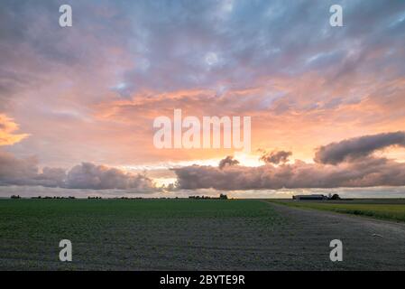 Cielo colorato e suggestivo durante il tramonto sul paesaggio agricolo olandese piano Foto Stock