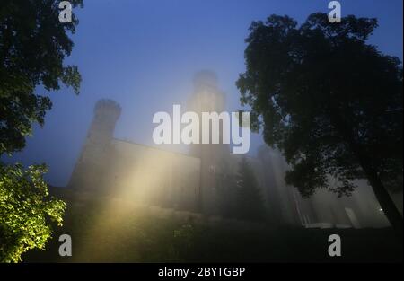 Schwangau, Germania. 10 Giugno 2020. Alla luce di 47 faretti a LED, il Castello di Neuschwanstein è in piedi sotto la pioggia. La conversione al nuovo sistema di illuminazione costa 300,000 euro. I faretti non solo dovrebbero fornire una luce migliore, ma anche essere più insetto-friendly e risparmiare energia elettrica. Credit: Karl-Josef Hildenbrand/dpa/Alamy Live News Foto Stock