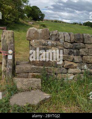 Una pietra su un sentiero a Baillon, Yorkshire. Foto Stock