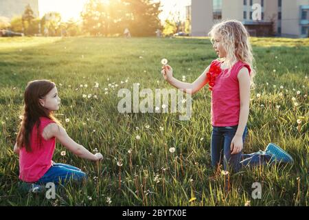 Adorabili ragazze caucasiche che soffiano i dandelioni. Bambini seduti in erba su prato. Attività estive per bambini all'aperto. Amici che si divertono t Foto Stock
