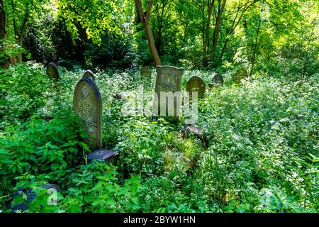 Tower Hamlets Cemetery Park, Londra, Regno Unito Foto Stock