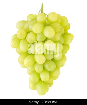 Claster di Thompson uva bianca da tavola appesa su un gambo isolato su sfondo bianco Foto Stock