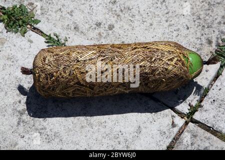 Orzo paglia galleggiante utilizzato per eliminare alghe verde acqua in stagni Foto Stock