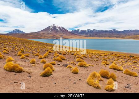 Paesaggio della Laguna di Miscanti ad alta quota con neve sulle vette delle Ande, deserto di Atacama, Cile. Foto Stock