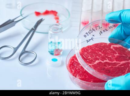 Campione di carne in una piastra di coltura cellulare in plastica monouso aperta in un laboratorio moderno o in un impianto di produzione. Concetto di carne coltivata, agricoltura cellulare, Foto Stock