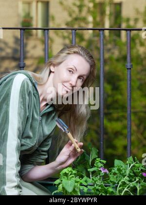 giovane donna su un balcone atterra petunia seedling Foto Stock