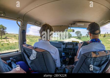 I turisti che passano attraverso il Parco Tranfrontiera Kgalagadi , Kgalagadi, Sudafrica Foto Stock