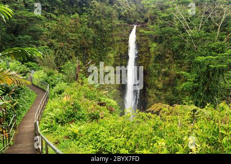 Paesaggio panoramico con passeggiata sul lungomare fino alla cascata all'interno della foresta pluviale. Akaka Falls state Park, Hawaii Big Island, Stati Uniti. Foto Stock