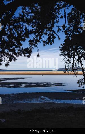 Bella spiaggia incontaminata Tasmanina con insenature d'acqua e con sereno cielo blu in una mattina d'inverno Foto Stock